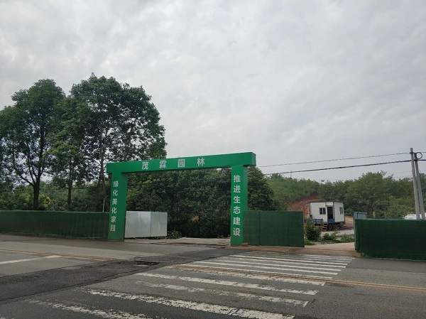 成都天府新区大林街道蟠桃果产业园出入口保障东山大道及附属设施项目安全技术评价